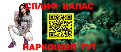 мяу мяу мука Будённовск